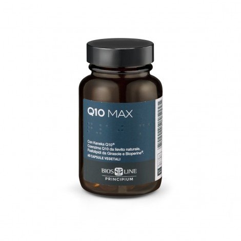 Principium Q10 max