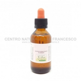 Gemmoderivato di fraxinus excelsior (frassino) 100 ml CROCE AZZURRA